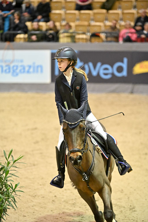 VR Classics Neumünster 2026 | 12022026 Pfg19 Pony A++ _094 