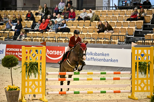 VR Classics Neumünster 2026 | 12022026 Pfg19 Pony A++ _100 
