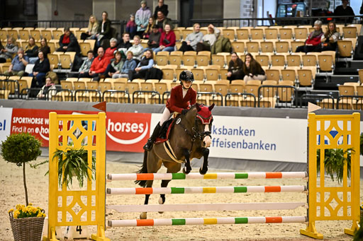 VR Classics Neumünster 2026 | 12022026 Pfg19 Pony A++ _101 
