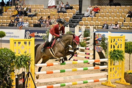 VR Classics Neumünster 2026 | 12022026 Pfg19 Pony A++ _104 