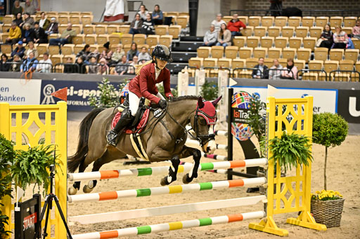 VR Classics Neumünster 2026 | 12022026 Pfg19 Pony A++ _105 