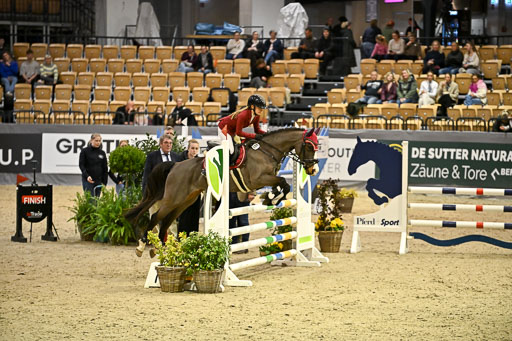 VR Classics Neumünster 2026 | 12022026 Pfg19 Pony A++ _106 