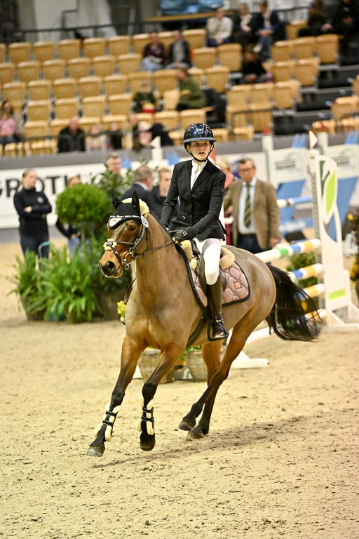 VR Classics Neumünster 2026 | 12022026 Pfg19 Pony A++ _111 