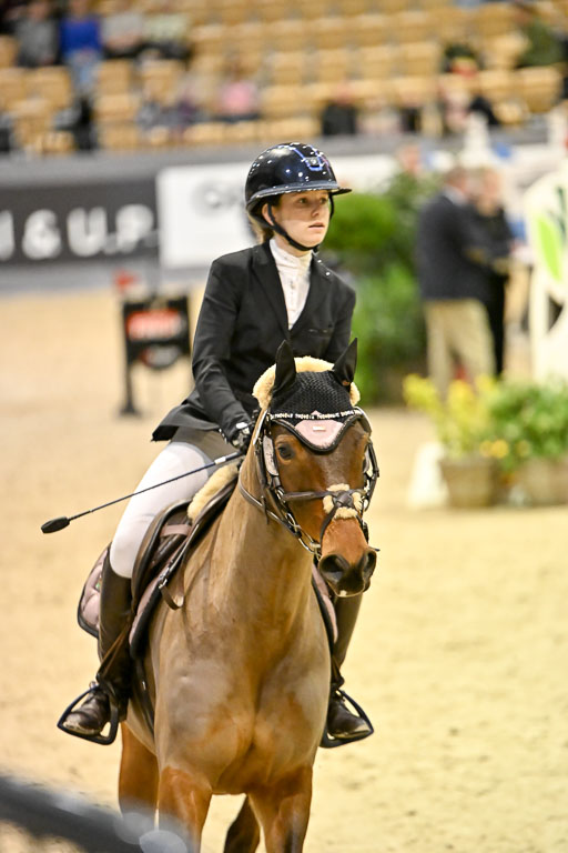 VR Classics Neumünster 2026 | 12022026 Pfg19 Pony A++ _112 