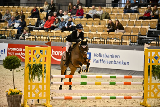 VR Classics Neumünster 2026 | 12022026 Pfg19 Pony A++ _113 