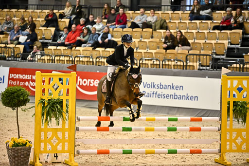 VR Classics Neumünster 2026 | 12022026 Pfg19 Pony A++ _114 