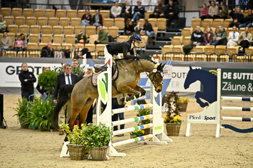 VR Classics Neumünster 2026 | 12022026 Pfg19 Pony A++ _115 