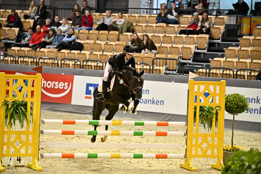 VR Classics Neumünster 2026 | 12022026 Pfg19 Pony A++ _126 