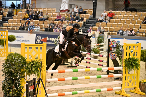 VR Classics Neumünster 2026 | 12022026 Pfg19 Pony A++ _127 