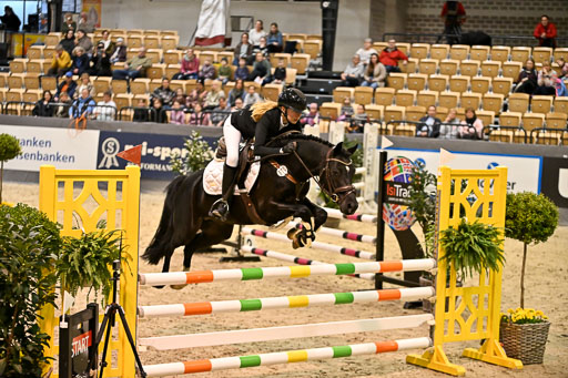 VR Classics Neumünster 2026 | 12022026 Pfg19 Pony A++ _128 