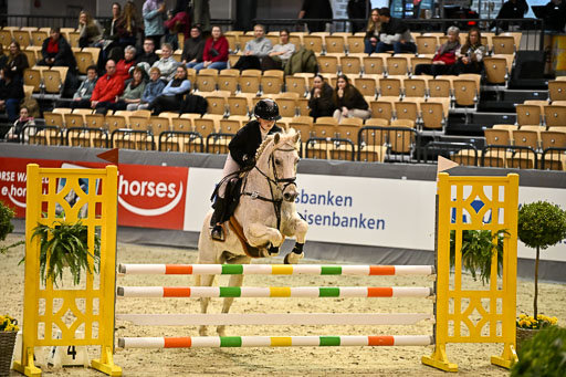 VR Classics Neumünster 2026 | 12022026 Pfg19 Pony A++ _139 