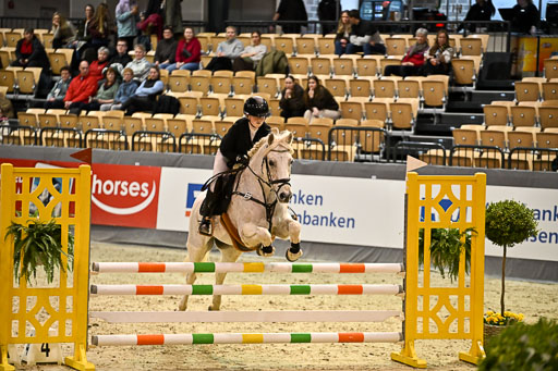 VR Classics Neumünster 2026 | 12022026 Pfg19 Pony A++ _140 