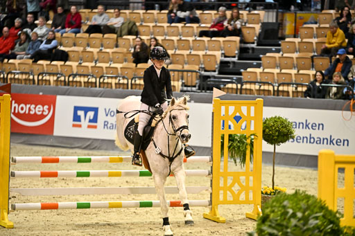 VR Classics Neumünster 2026 | 12022026 Pfg19 Pony A++ _141 