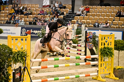 VR Classics Neumünster 2026 | 12022026 Pfg19 Pony A++ _142 