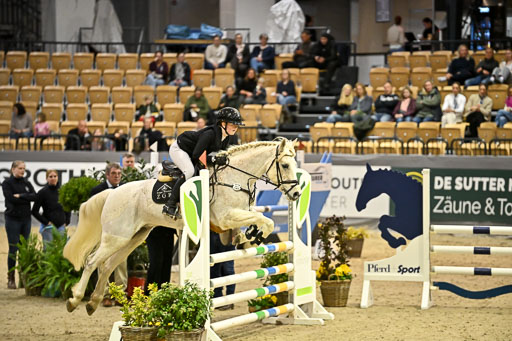 VR Classics Neumünster 2026 | 12022026 Pfg19 Pony A++ _143 