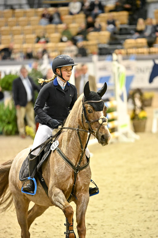 VR Classics Neumünster 2026 | 12022026 Pfg19 Pony A++ _149 