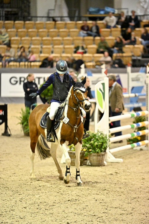 VR Classics Neumünster 2026 | 12022026 Pfg19 Pony A++ _152 