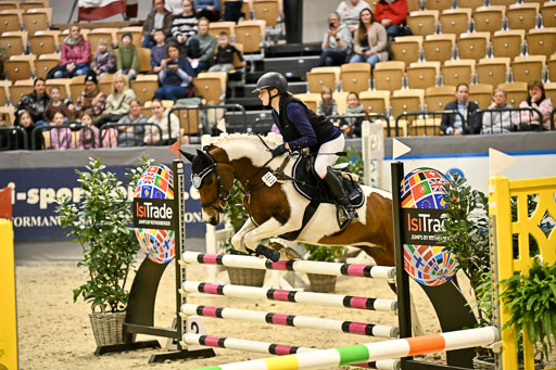 VR Classics Neumünster 2026 | 12022026 Pfg19 Pony A++ _155 