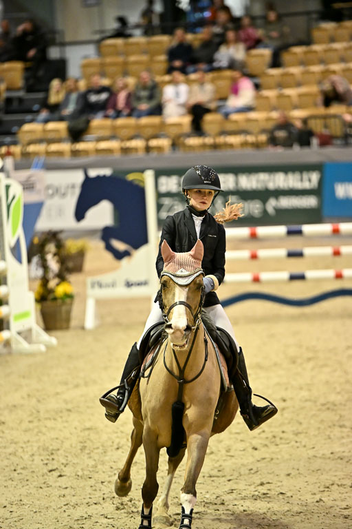 VR Classics Neumünster 2026 | 12022026 Pfg19 Pony A++ _157 