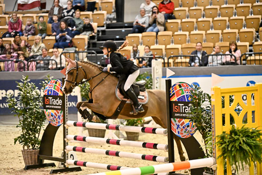 VR Classics Neumünster 2026 | 12022026 Pfg19 Pony A++ _158 