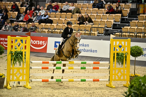 VR Classics Neumünster 2026 | 12022026 Pfg19 Pony A++ _159 