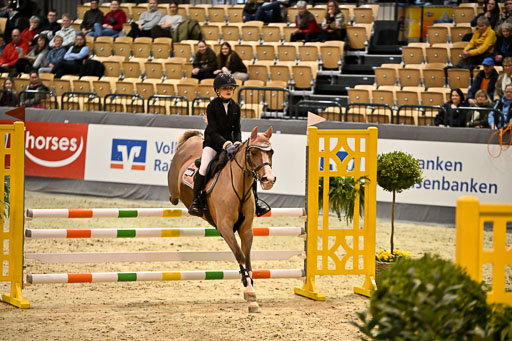 VR Classics Neumünster 2026 | 12022026 Pfg19 Pony A++ _161 