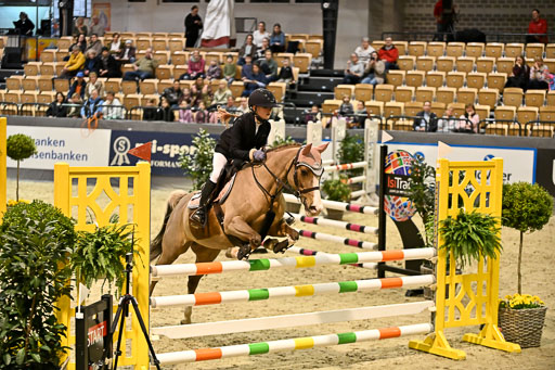 VR Classics Neumünster 2026 | 12022026 Pfg19 Pony A++ _162 