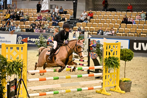 VR Classics Neumünster 2026 | 12022026 Pfg19 Pony A++ _163 