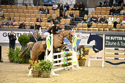 VR Classics Neumünster 2026 | 12022026 Pfg19 Pony A++ _164 