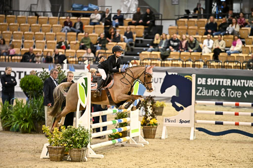 VR Classics Neumünster 2026 | 12022026 Pfg19 Pony A++ _165 