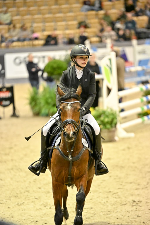 VR Classics Neumünster 2026 | 12022026 Pfg19 Pony A++ _170 