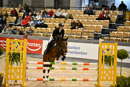 VR Classics Neumünster 2026 | 12022026 Pfg19 Pony A++ _172 