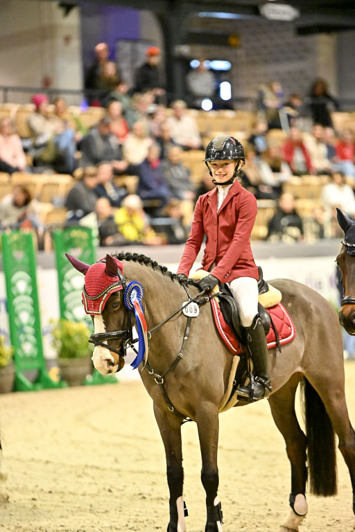 VR Classics Neumünster 2026 | 12022026 Pfg19 Pony A++ _187 