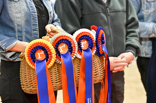  | 12022026 Team Trophy _190 