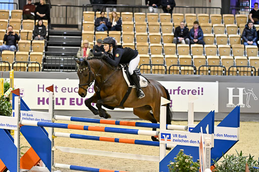  | 13022026 HGW Stil M _002 