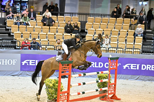  | 13022026 HGW Stil M _007 