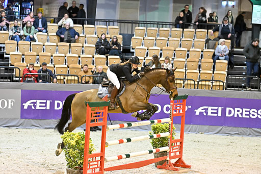  | 13022026 HGW Stil M _008 