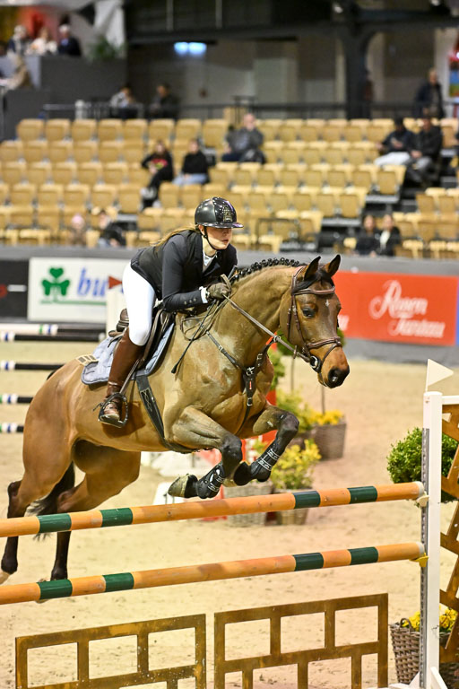  | 13022026 HGW Stil M _011 