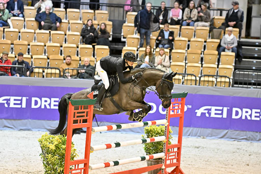  | 13022026 HGW Stil M _018 