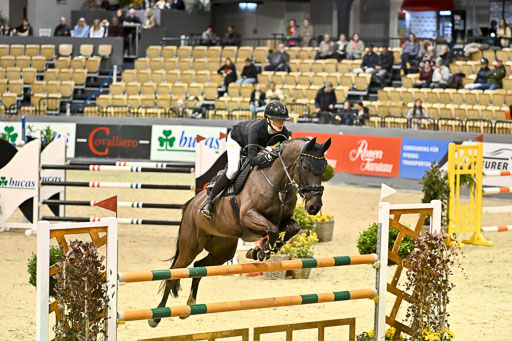  | 13022026 HGW Stil M _019 