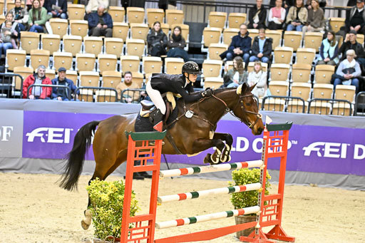  | 13022026 HGW Stil M _023 