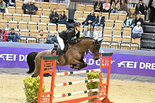  | 13022026 HGW Stil M _031 