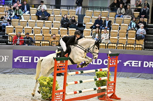  | 13022026 HGW Stil M _037 