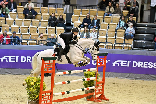  | 13022026 HGW Stil M _038 