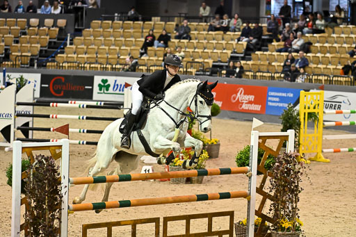  | 13022026 HGW Stil M _039 