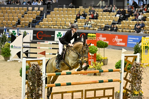  | 13022026 HGW Stil M _046 