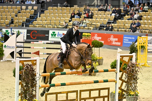  | 13022026 HGW Stil M _047 