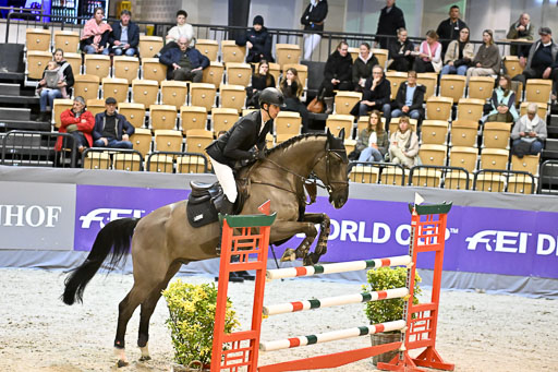  | 13022026 HGW Stil M _053 