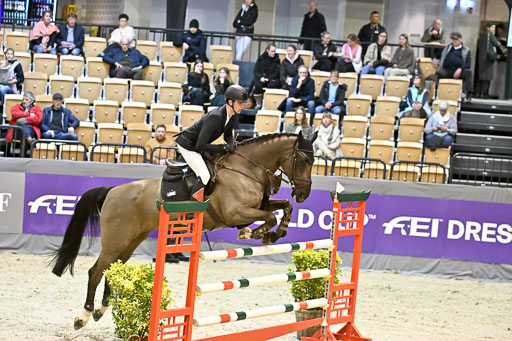  | 13022026 HGW Stil M _054 