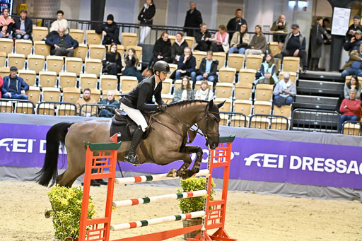  | 13022026 HGW Stil M _055 